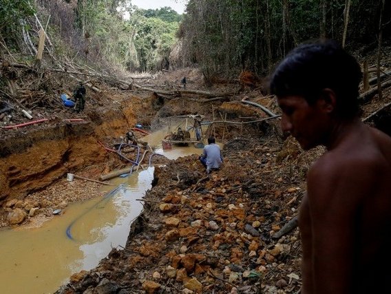 Curso do rio Área destruída ao redor de um curso de rio na região amazônica.