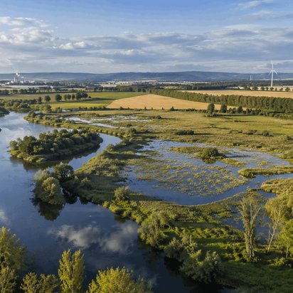 Weitläufige Gewässerlandschaft mit einem Fluss, Auen und grünem Bewuchs dazwischen.