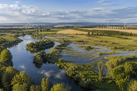 Gewässerlandschaft Weitläufige Gewässerlandschaft mit einem Fluss, Auen und grünem Bewuchs dazwischen.