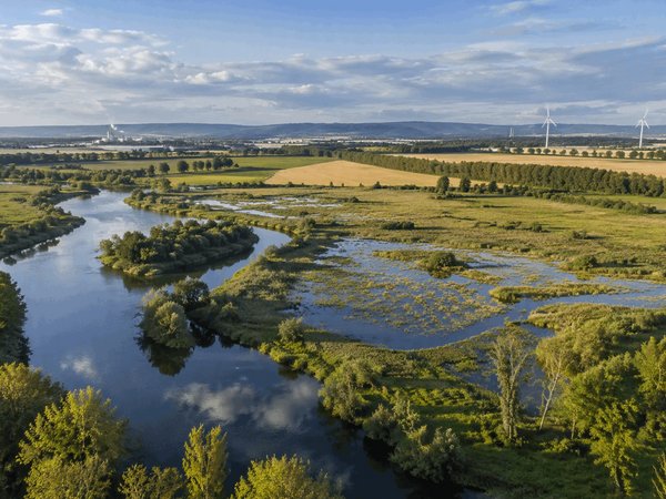 Weitläufige Gewässerlandschaft mit einem Fluss, Auen und grünem Bewuchs dazwischen.