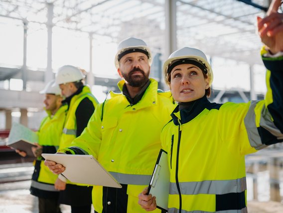 Projektausführung, Monitoring und Steuerung Projektausführung, Monitoring und Steuerung
