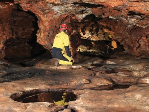 Simmons Cave, located in the municipality of Barão de Cocais, in the state of Minas Gerais. A cave named in honor of the American geologist George Simmons Simmons Cave, located in the municipality of Barão de Cocais, in the state of Minas Gerais. A cave named in honor of the American geologist George Simmons. Source: ZAMPAULO, R. A. In: SIMÕES, M. H.; ZAMPAULO, R. A.; BRANDI, I. V. (Eds.). Guide to Best Practices for the Speleological Monitoring of Iron-Bearing Caves. Vale, p. 36.