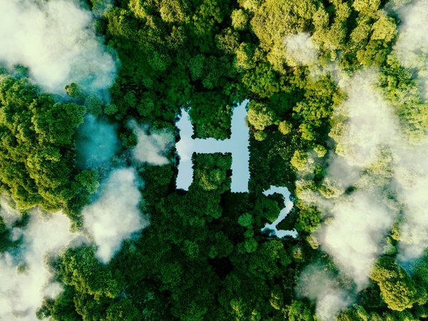 Luftaufnahme eines dichten, grünen Waldes, durch den Nebel oder Wolken ziehen. In der Mitte des Waldes ist ein See oder eine Wasserfläche in Form des chemischen Symbols „H₂“ 