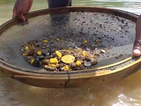 Lavagem de ouro O ouro é garimpado no rio