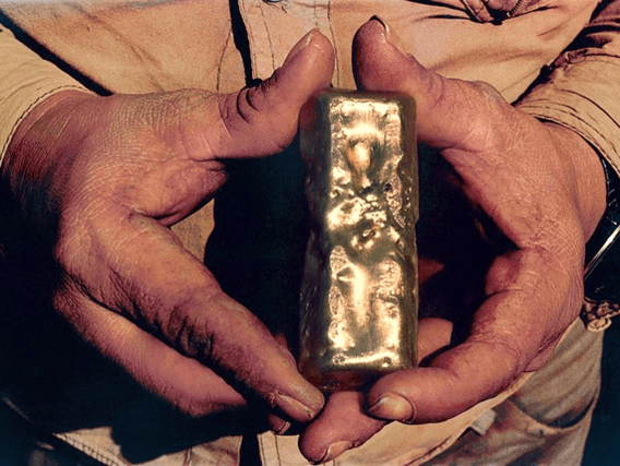 Barras de ouro Um homem segura uma barra de ouro