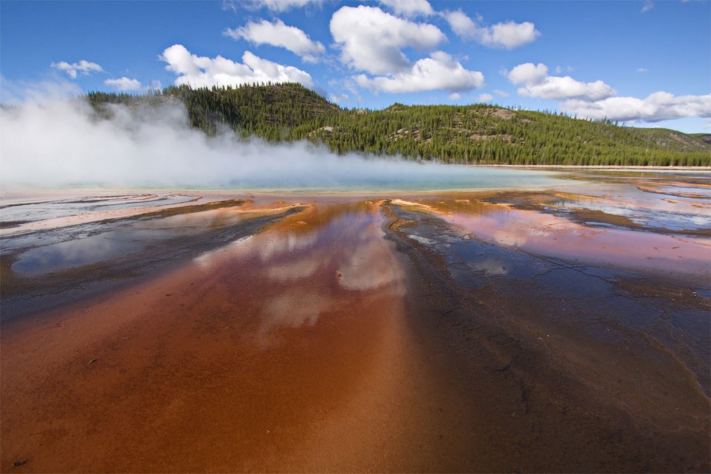 Dampf steigt aus einem Wasserloch im Hintergrund sind Tannenwälder