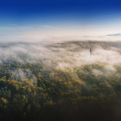 Carbon Management - Landschaft Carbon Management - Landschaft