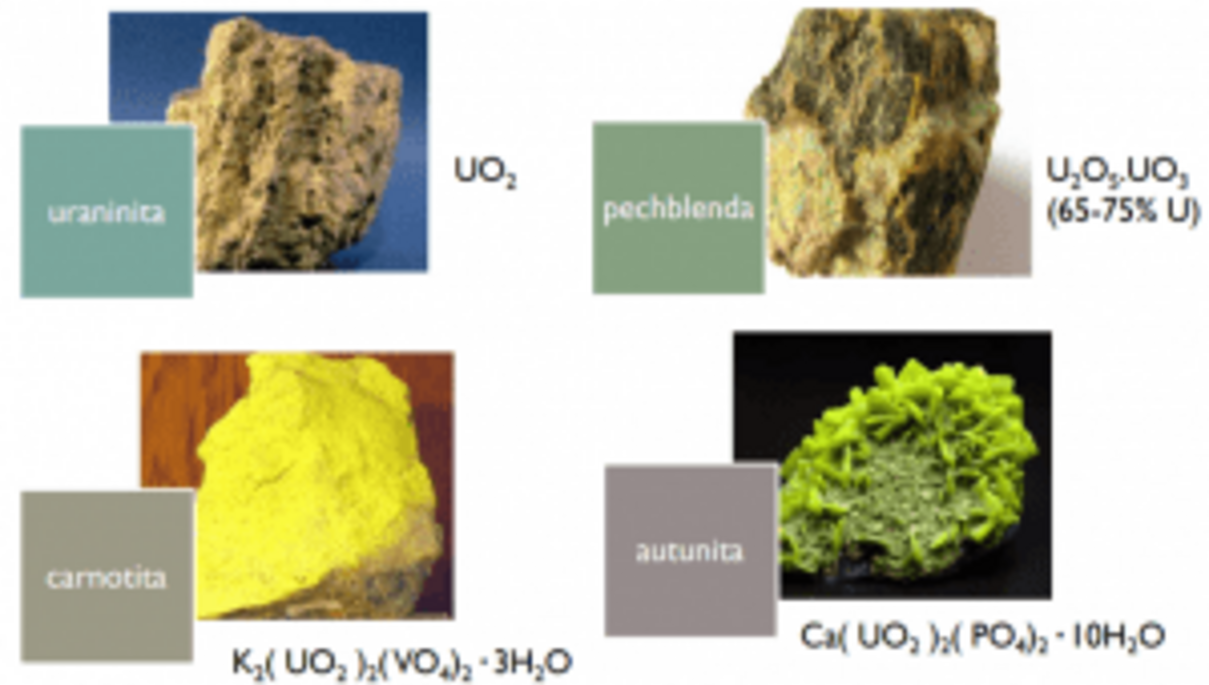 Minerais de Urânio Ilustração com quatro minerais de urânio - uraninita, pechblenda, carnotita, autunita