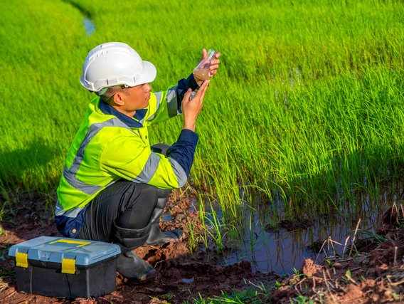 Ingenieur aus dem Fachgebiet Hydrogeochemie nimmt eine Wasserprobe in einem Glaskolben auf einer bewachsenen Sumpflandschaft