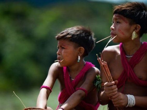 Crianças Yanomami Duas crianças Yanomami