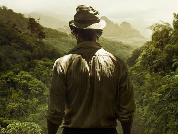 Pôster do filme de Gold um homem visto por trás em frente a uma floresta tropical