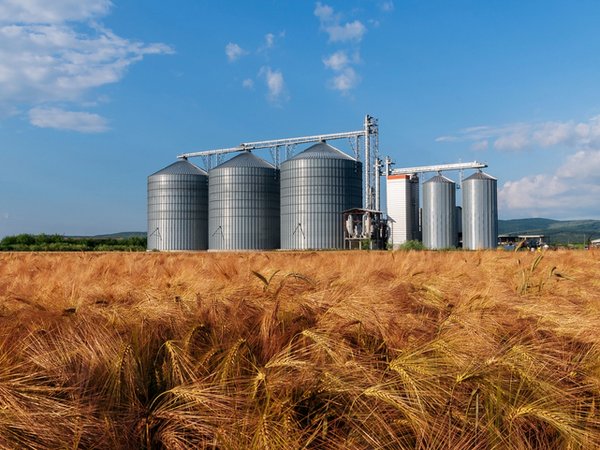  Gerstenfeld mit Getreidesilos