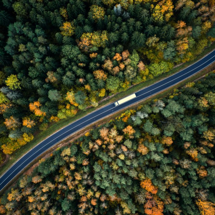 Foto aus der Vogelperspektive von einem LKW, der auf einer Landstraße durch einen Wald fährt.