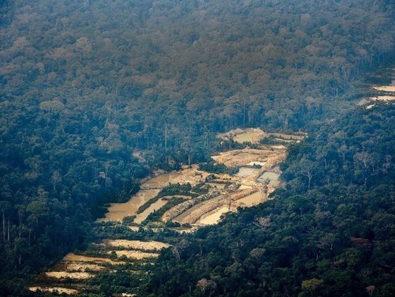 Amazônia Real A Amazônia remodelada em pequenas bacias hidrográficas na floresta tropical