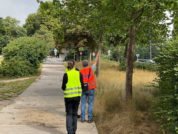 DMT-Umweltfachplanende im Einsatz