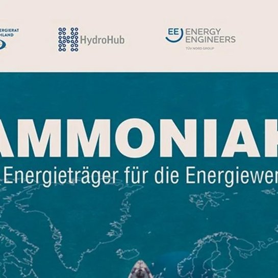 Estudo para o Conselho Mundial de Energia