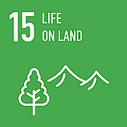 Life on land Life on land