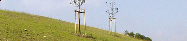 [Translate to German:] DMT provides planning services for the construction, remediation and decommissioning of landfills