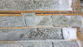 Drill cores of lithium pegmatite with large feldspar and lithium-bearing spodumene minerals Drill cores of lithium pegmatite with large feldspar and lithium-bearing spodumene minerals