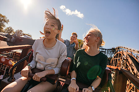 Use of the ViB3D on amusement rides Use of the ViB3D on amusement rides