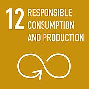 Responsible consumption and production Responsible consumption and production