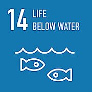 Life below water Life below water
