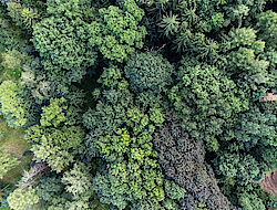 Umwelt & Sanierung Geotechnik - Umwelt & Sanierung